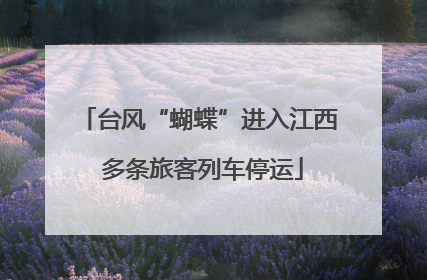 台风“蝴蝶”进入江西 多条旅客列车停运