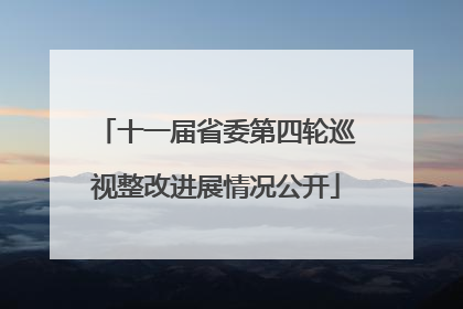 十一届省委第四轮巡视整改进展情况公开