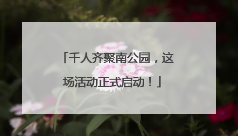 千人齐聚南公园，这场活动正式启动！