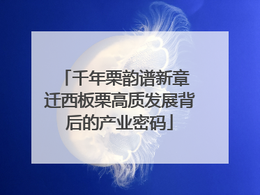 千年栗韵谱新章 迁西板栗高质发展背后的产业密码