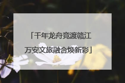 千年龙舟竞渡赣江 万安文旅融合焕新彩