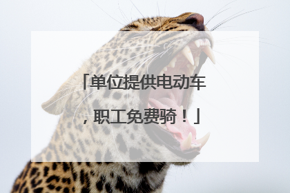 单位提供电动车，职工免费骑！