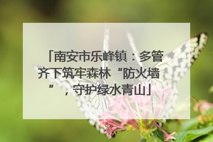 南安市乐峰镇：多管齐下筑牢森林“防火墙”，守护绿水青山