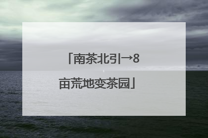 南茶北引→8亩荒地变茶园