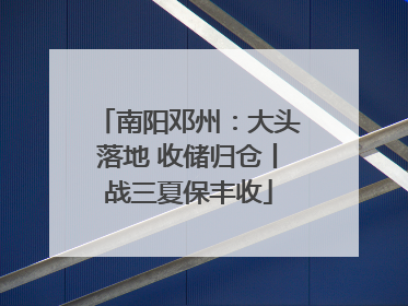 南阳邓州：大头落地 收储归仓丨战三夏保丰收
