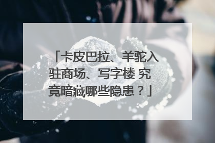 卡皮巴拉、羊驼入驻商场、写字楼 究竟暗藏哪些隐患？