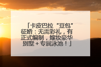 卡皮巴拉“豆包”征婚：无需彩礼，有正式编制，嫁妆豪华别墅＋专属泳池！