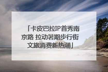 卡皮巴拉IP首秀南京路 拉动暑期步行街文旅消费新热潮