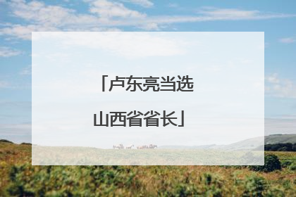卢东亮当选山西省省长