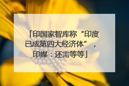 印国家智库称“印度已成第四大经济体”，印媒：还需等等