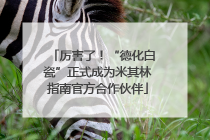 厉害了！“德化白瓷”正式成为米其林指南官方合作伙伴