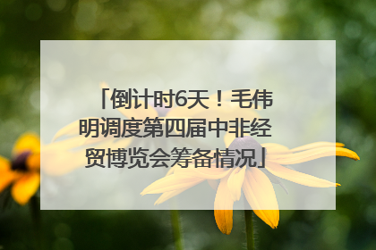 倒计时6天！毛伟明调度第四届中非经贸博览会筹备情况