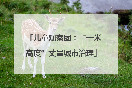 儿童观察团：“一米高度”丈量城市治理