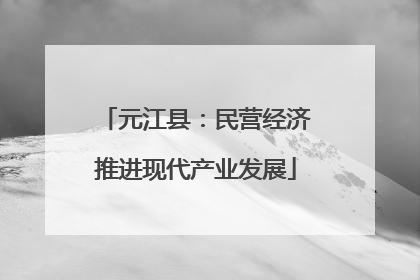 元江县：民营经济推进现代产业发展