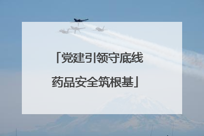党建引领守底线 药品安全筑根基