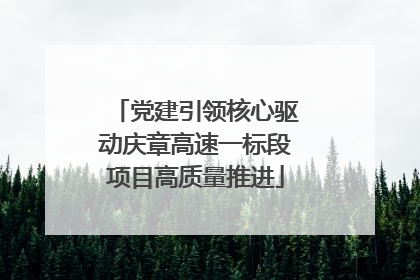 党建引领核心驱动庆章高速一标段项目高质量推进