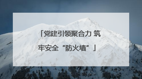党建引领聚合力 筑牢安全“防火墙”