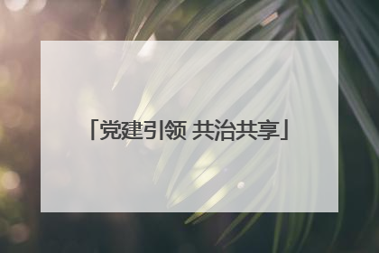 党建引领 共治共享