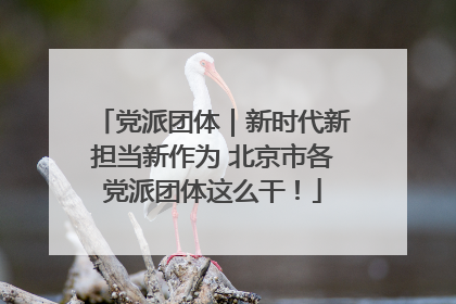 党派团体｜新时代新担当新作为 北京市各党派团体这么干！