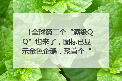 全球第二个“满级QQ”也来了，图标已显示金色企鹅，系首个“满级QQ”的小号