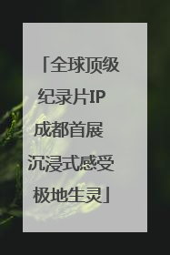 全球顶级纪录片IP成都首展 沉浸式感受极地生灵