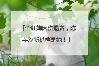 全红婵因伤退赛，陈芋汐新搭档是她！