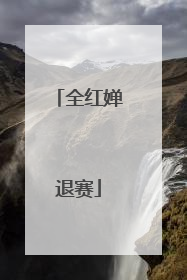 全红婵退赛