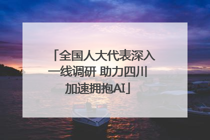 全国人大代表深入一线调研 助力四川加速拥抱AI