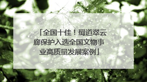 全国十佳！蜀道翠云廊保护入选全国文物事业高质量发展案例