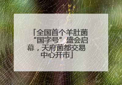 全国首个羊肚菌“国字号”盛会启幕，天府菌都交易中心开市
