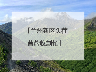 兰州新区头茬苜蓿收割忙