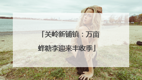 关岭新铺镇：万亩蜂糖李迎来丰收季