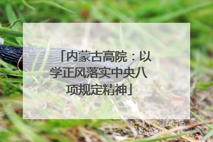 内蒙古高院：以学正风落实中央八项规定精神