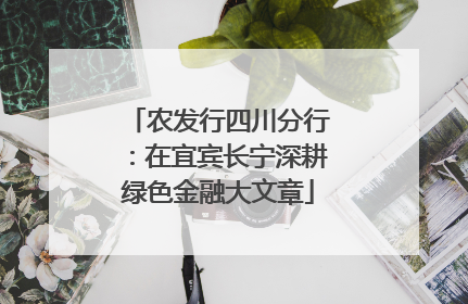 农发行四川分行：在宜宾长宁深耕绿色金融大文章