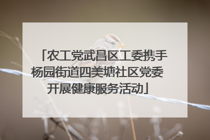 农工党武昌区工委携手杨园街道四美塘社区党委开展健康服务活动