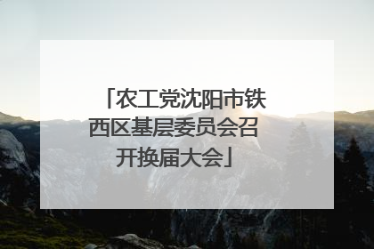 农工党沈阳市铁西区基层委员会召开换届大会