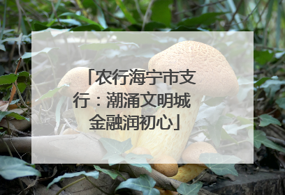 农行海宁市支行：潮涌文明城 金融润初心