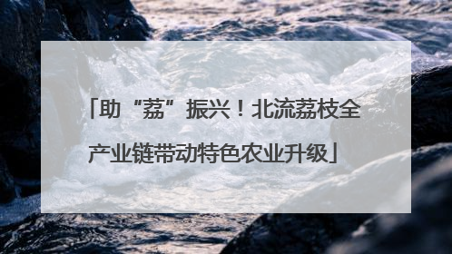助“荔”振兴！北流荔枝全产业链带动特色农业升级