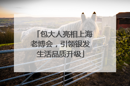 包大人亮相上海老博会，引领银发生活品质升级