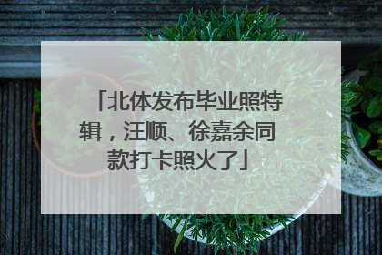 北体发布毕业照特辑，汪顺、徐嘉余同款打卡照火了