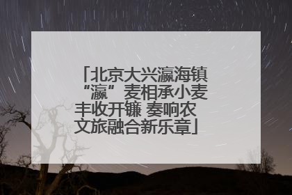 北京大兴瀛海镇“瀛”麦相承小麦丰收开镰 奏响农文旅融合新乐章