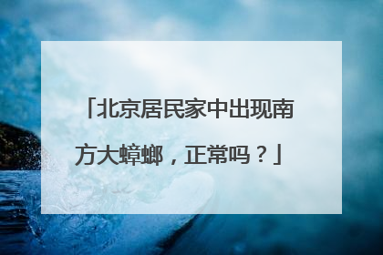 北京居民家中出现南方大蟑螂，正常吗？