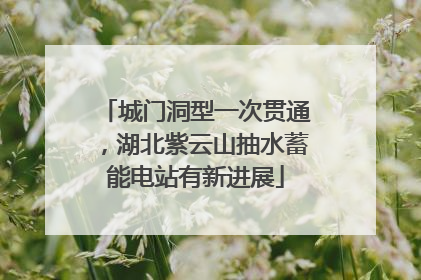 城门洞型一次贯通，湖北紫云山抽水蓄能电站有新进展
