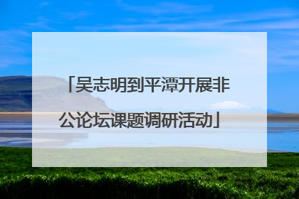 吴志明到平潭开展非公论坛课题调研活动