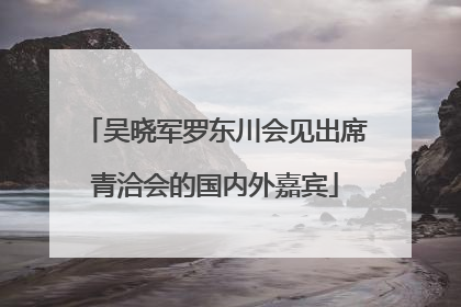 吴晓军罗东川会见出席青洽会的国内外嘉宾