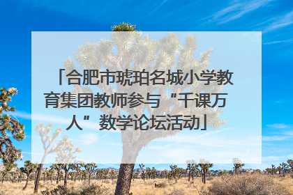 合肥市琥珀名城小学教育集团教师参与“千课万人”数学论坛活动