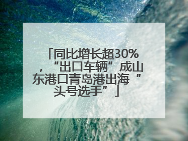 同比增长超30%，“出口车辆”成山东港口青岛港出海“头号选手”
