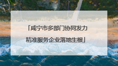 咸宁市多部门协同发力 精准服务企业落地生根