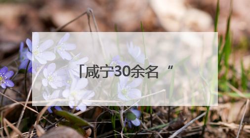 咸宁30余名“知心姐姐”全程守护考生心理健康
