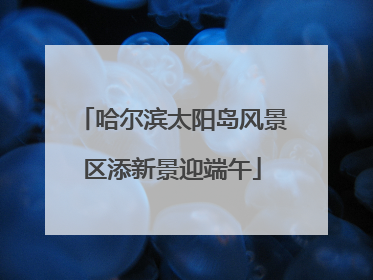哈尔滨太阳岛风景区添新景迎端午